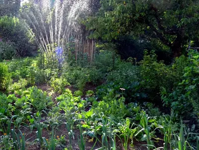 a garden with lots of flowers and plants at Residence Perwanger in Fiè
