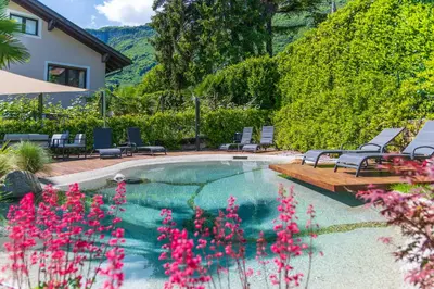 a swimming pool with chairs and pink flowers at Ferienwohnungen Atz in Termeno