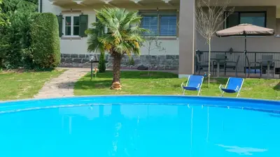 a swimming pool with two blue chairs and a palm tree at Pension Sunnhofer in Vilpiano