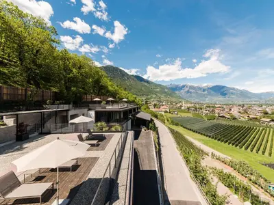 a view of a vineyard from the roof of a house at Garni Hotel Katzenthalerhof in Lana