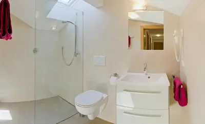 a bathroom with a toilet and a shower and a sink at Ferienwohnungen St. Michael in Appiano sulla Strada del Vino