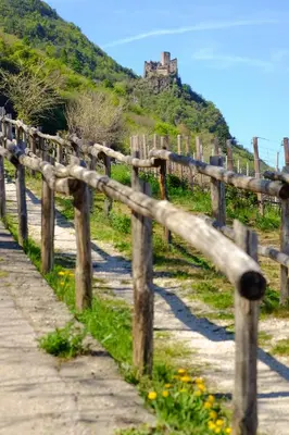 a fence on a hill with a castle in the background at Ferienwohnungen St. Michael in Appiano sulla Strada del Vino