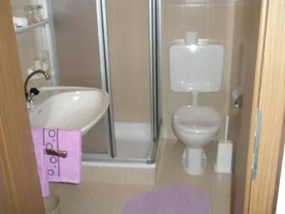 a bathroom with a toilet and a sink and a shower at Boarhof Appartaments in San Giacomo Val di Vizze