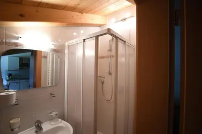 a bathroom with a shower and a toilet and a sink at Boarhof Appartaments in San Giacomo Val di Vizze