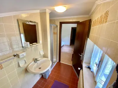 a bathroom with a sink and a toilet and a mirror at Hotel B&B Lorenzini Ski in Selva di Cadore