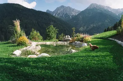 a dog standing in the grass next to a pond at Apartments Oberpichlhof in Valdaora