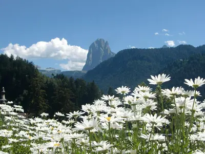 a town in a valley with mountains in the background at Villa Quenz Family Suites in Ortisei