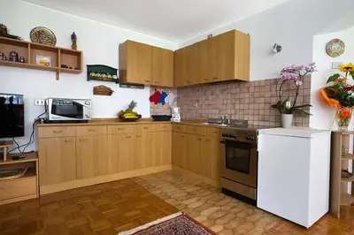 a kitchen with wooden cabinets and a white refrigerator at Cesa Sule de Sot in Ortisei
