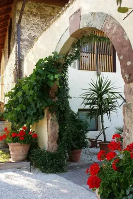 an archway with plants and flowers in pots at Ansitz Strengherrnhof in Caldaro