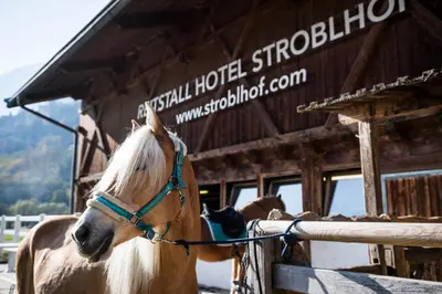 a horse tied to a fence in front of a building at Stroblhof Active Family Spa Resort in San Leonardo in Passiria