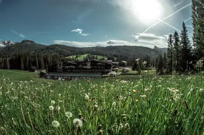 a field of flowers in front of a building at Hotel Ciasa Salares in San Cassiano