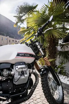 a motorcycle parked next to a palm tree at Hotel Clara in Bressanone