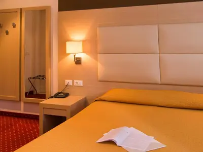 a hotel room with a bed and a telephone and a mirror at Hotel Regina in Bolzano