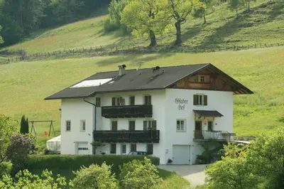 a white house with a black roof on a hill at Agriturismo Gfaderhof in Bressanone