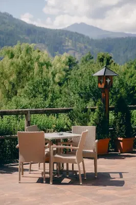 a chair with a pillow and a table with a plant at Olimpionico Hotel in Castello di Fiemme