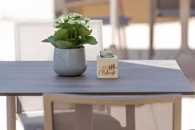 a table with a vase with a plant on it at Hotel Bellavista in Cavalese