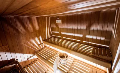 a dog sitting on a bench in a sauna at Parc Hotel Florian in Siusi