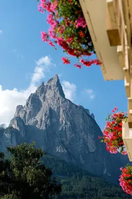a mountain with flowers in front of a building at Parc Hotel Florian in Siusi