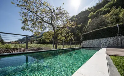 a swimming pool in the middle of a yard with a mountain at Boutique Hotel Zum Rosenbaum in Nalles