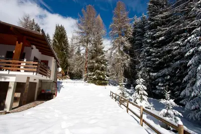 a snow covered path next to a building with trees at Villa La Brisa in Predazzo