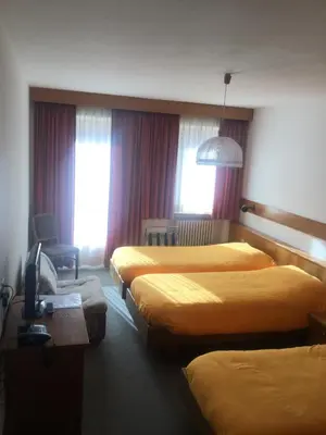 two beds in a hotel room with green sheets at Hotel Alpenrose in Alleghe