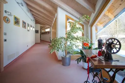 a hallway with plants and a table in a building at Castelir Suite Hotel in Panchia