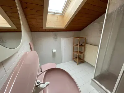 a bathroom with a pink toilet and a window at Gutshof Erschbaumer in San Lorenzo di Sebato