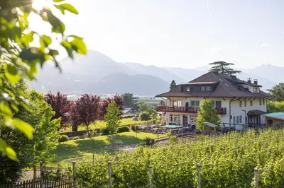 a house on a hill with a vineyard at Residence Egger in Terlano