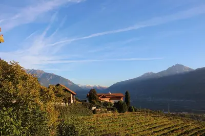 a house in a vineyard with mountains in the background at Greiterhof in Lana