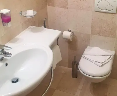 a bathroom with a white sink and a toilet at Hotel Principe Marmolada in Malga Ciapela