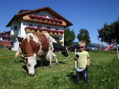 a young boy standing next to a cow in a field at Rosenheim in Maranza