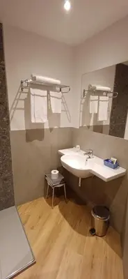 a bathroom with a sink and a mirror at Hotel Moena in Moena