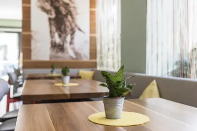 a table with a potted plant on top of it at Hotel Elefant in Ora/Auer