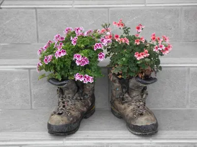 two old boots filled with flowers on a wall at Thalerhof in Prenn