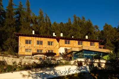 a large wooden building on a hill with trees at Hotel Alle Ciaspole in Fondo