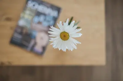 a white flower sitting on top of a counter at Apparthotel Zunneler in Schenna