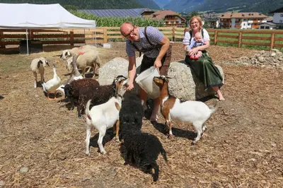 a man and a woman feeding goats and chickens at Lerchnhof in Valdaora