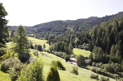 a green hillside with trees and a house on it at Residence Wiesenheim in Trodena