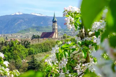 a church with a clock tower with mountains in the background at Strahlerhof in Appiano sulla Strada del Vino