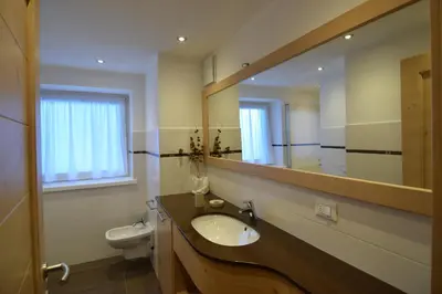 a bathroom with a sink and a mirror at Vajolet in Campitello di Fassa