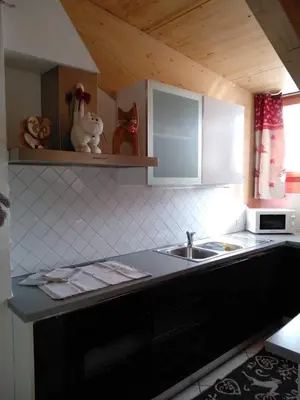 a kitchen with a sink and a counter top at Ciasa Savoy in Vigo di Fassa