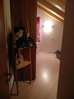 a hallway with a room with a table with flowers at Ciasa Savoy in Vigo di Fassa