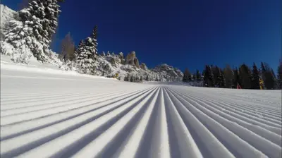 a snow covered slope with trees in the background at Garni Raetia in Corvara in Badia