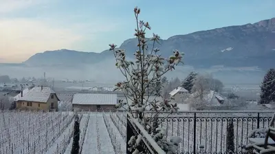 a snow covered village with a fence and a tree at Brandlgut in Bolzano