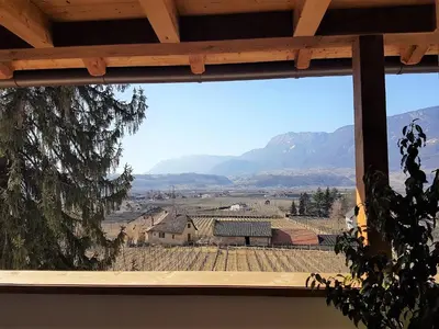 a window with a view of a vineyard and mountains at Brandlgut in Bolzano