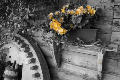 a vase filled with flowers on a wooden wall at Grumserhof in Merano