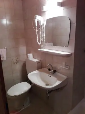 a bathroom with a sink and a toilet and a mirror at Garnì La Grambla in Selva di Val Gardena
