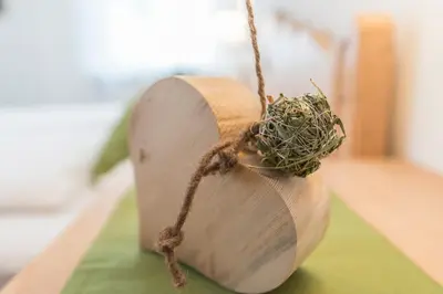 a bird nest on the end of a piece of wood at Ferienwohnung Eder in Gais