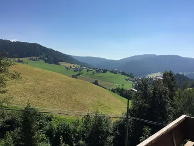 a view of a green hill with trees on it at Unterweger Hof in Avelengo