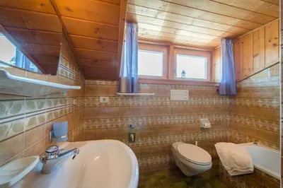 a bathroom with a sink and a toilet at Garni-Residence Villa Paul in Nova Ponente